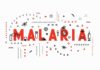 prevent malaria plasmodium falciparum human antibody