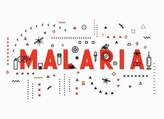 prevent malaria plasmodium falciparum human antibody
