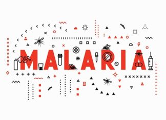 Nueva esperanza para atacar la forma más mortal de malaria prevenir la malaria plasmodium falciparum anticuerpo humano