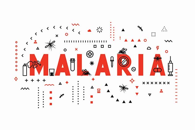 मलेरिया प्लास्मोडियम फाल्सीपेरम मानव एंटीबॉडी को रोकें