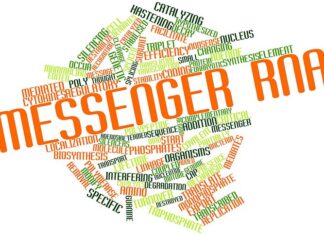 'It-Trasferiment tal-Memorja' Minn Organiżmu għal Iehor Possibbiltà? Trasferiment ta' trasferiment ta' RNA tal-Memorja