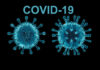 WHO Nieuw Coronavirus SARS CoV-2 COVID-19