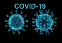 COVID-19: Ko te mate i ahu mai i te Novel Coronavirus (2019-nCoV) He Ingoa Hou na WHO WHO Novel Coronavirus SARS CoV-2 COVID-19