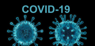 世界卫生组织 新型冠状病毒 SARS CoV-2 COVID-19