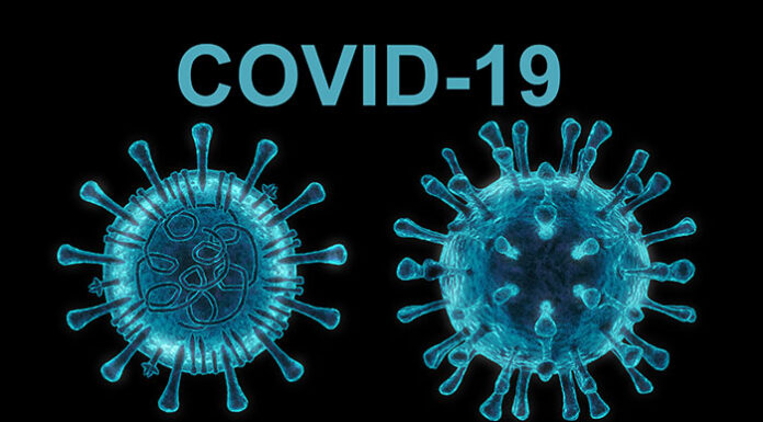 WHO Novel Coronavirus SARS CoV-2 COVID-19