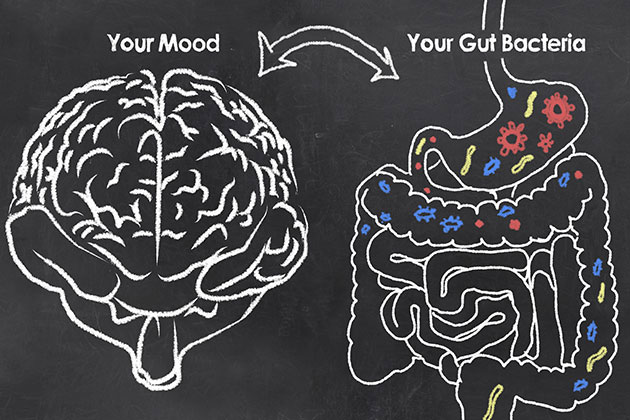 Bacterias intestinales depresión salud mental microbios microbiota