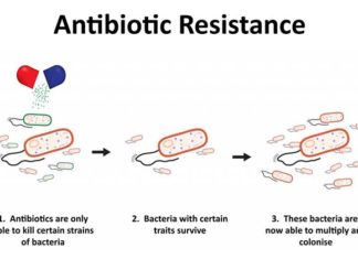 Бактерии отпорни на антибиотици глобална закана за човештвото