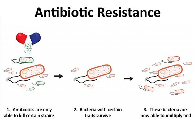 antibiotic resistance bacteria global threat mankind