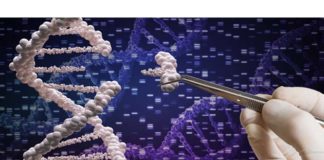 edición de genes CRISPR enfermedades hereditarias genética