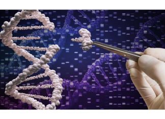 gene editing CRISPR inheritable diseases genetic