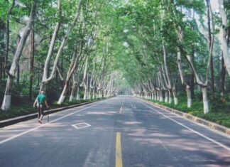 Antibiotikët e aminoglikozideve mund të përdoren për të trajtuar demencën Antibiotiku i aminoglikozideve (gentamicina) mund të përdoret për të trajtuar demencën familjare