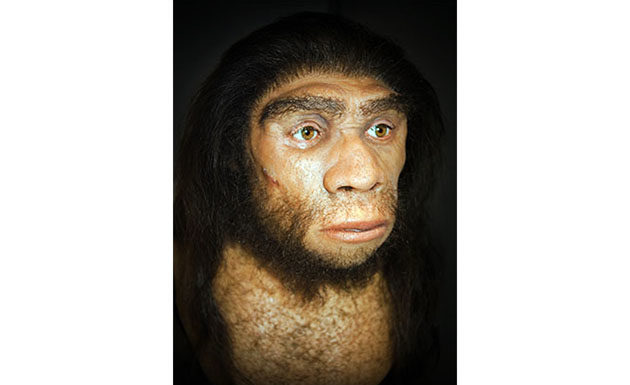 Neanderthal Brain human genetic