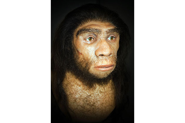 Genética humana del cerebro neandertal