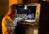 real-time detectie eiwitexpressie fluorescerende biosensor