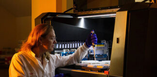 biocapteur fluorescent d'expression de protéine de détection en temps réel