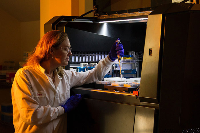 fluoreszierender Biosensor für die Proteinexpression in Echtzeit