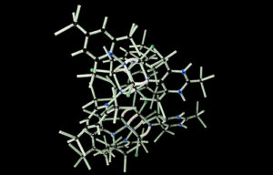 Molecular Origin of Life: What Formed First – Protein, DNA or RNA