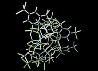 ജീവന്റെ തന്മാത്രാ ഉത്ഭവം: ആദ്യം രൂപപ്പെട്ടത് എന്താണ് - പ്രോട്ടീൻ, ഡിഎൻഎ അല്ലെങ്കിൽ ആർഎൻഎ അല്ലെങ്കിൽ അവയുടെ സംയോജനം? ജീവന്റെ തന്മാത്രാ ഉത്ഭവം: ആദ്യം രൂപപ്പെട്ടത് എന്താണ് - പ്രോട്ടീൻ, ഡിഎൻഎ അല്ലെങ്കിൽ ആർഎൻഎ അല്ലെങ്കിൽ അവയുടെ സംയോജനം?