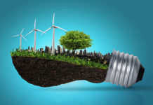 ეფექტური გზა მცენარეების ენერგიის განახლებად წყაროდ გადაქცევისთვის ენერგიის განახლებადი მცენარეები ლიგნინის ბიოინჟინერიის მქონე ბაქტერიები