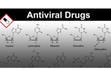 Kandidat za protivirusno zdravilo širokega spektra protivirusno zdravilo širokega spektra BX795