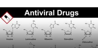 médicament antiviral à large spectre BX795