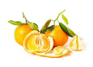 壊血病は子供たちの間で存在し続けます 壊血病は子供たちの間に存在し続けますビタミンCダイエット