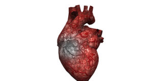 регенерация поврежденной сердечной недостаточности