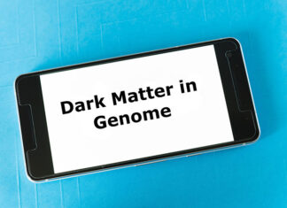 He pehea te Awe o nga Rohe 'Pouri pouri' o te ira tangata ki to tatou hauora? Mea Pouri He pehea te Awe o nga Rohe 'Pouri' Misteri o te Ira tangata ki to tatou Hauora?