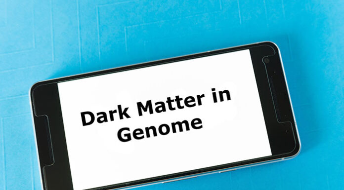 Mørkt stof Hvordan påvirker de mystiske 'mørk stof'-regioner i det menneskelige genom vores sundhed?