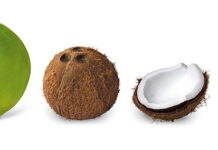 Coconut Oil in Food Reduces Skin Allergy Coconut Oil skin contact hypersensitivity Dietary coconut oil allergy