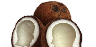 Alzheimer's ziekte kokosnoot Plaques hersenen amyloïde voorloper eiwit