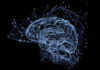Pigs Brain immortality longevity revival of brain