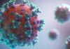 gamaleya russia primo vaccino covid adenovirus romanzo corona virus