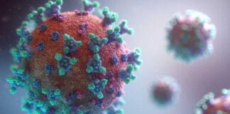 gamaleya rusland eerste covid-vaccin adenovirus nieuw coronavirus