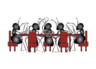 How Ant Society Actively Reorganizes itself to Control the Spread of Diseases ant animal society animal social network plasticity