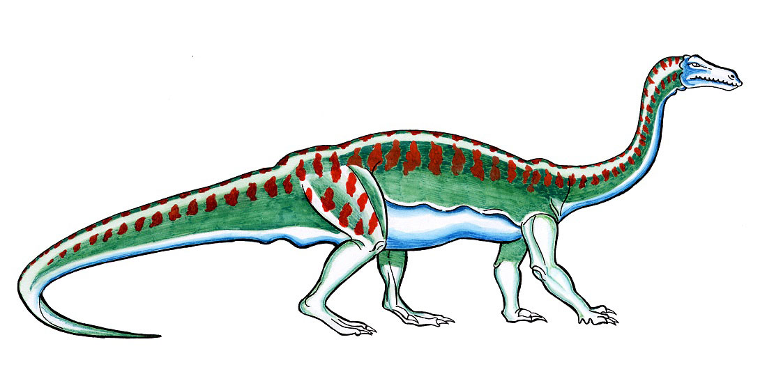 Größtes Dinosauriertierfossil Südafrika