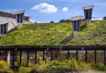 Zeleni načrti za upravljanje mestne toplote Urban Heat Učinek mestnega toplotnega otoka blaži mestno toploto Green Designs