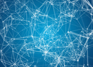Schéma de connectivité complet du système nerveux : une mise à jour Schéma de connectivité complet du système nerveux : une mise à jour