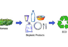Exploiting Biocatalysis to make Bioplastics Biocatalysis bioplastic plastic pollution enzyme
