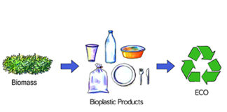 Enzima de contaminación de plástico bioplástico biocatálisis