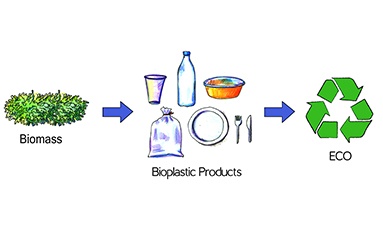 Biocatalysis bioplastic plastic pollution enzyme