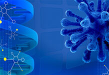 ADN Origami Nanostructures amin'ny fitsaboana ny tsy fahombiazana voa ADN Origami nanostructure nanotechnology