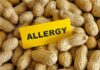Pinda Allergie voedselallergieën immunotherapie