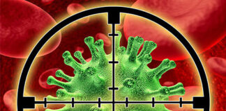 Infección por VIH Infección por VIH multirresistente Anticuerpo monoclonal Ibalizumab