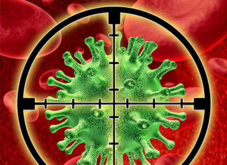 HIV-infectie multi-resistente HIV-infectie monoklonaal antilichaam Ibalizumab