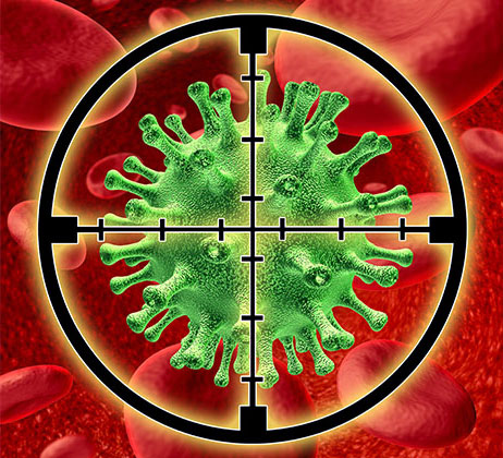 HIV-fertőzés több gyógyszerre rezisztens HIV-fertőzés monoklonális antitest Ibalizumab