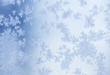 Minyoo Mizizi Wafufuliwa Baada Ya Kugandishwa Katika Barafu kwa Miaka 42,000 duara viumbe minyoo nematodes permafrost worm