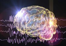 Выявление и купирование эпилептических припадков мозговой имплантат для обнаружения эпилептических припадков