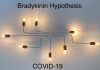 ब्रैडीकिनिन परिकल्पना 'COVID-19 में अतिरंजित भड़काऊ प्रतिक्रिया की व्याख्या करती है