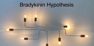 Bradykininehypothese' verklaart de overdreven ontstekingsreactie bij COVID-19